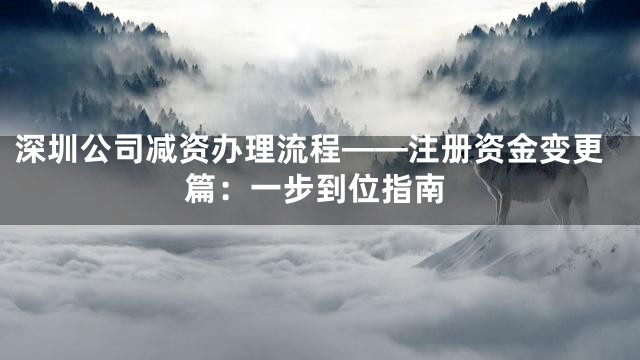 深圳公司减资办理流程——注册资金变更篇：一步到位指南