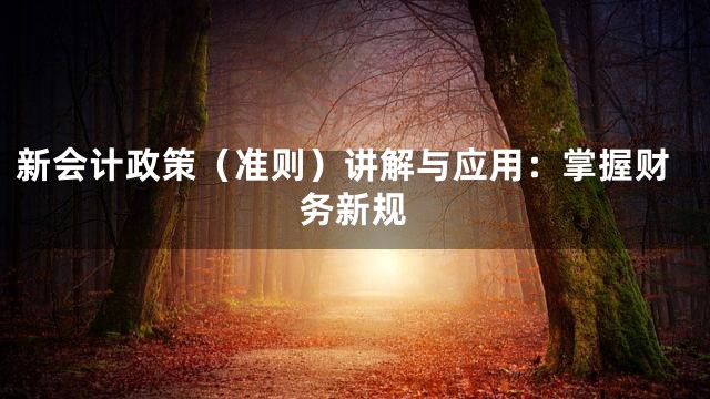 新会计政策（准则）讲解与应用：掌握财务新规