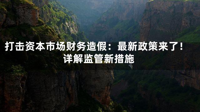 打击资本市场财务造假：最新政策来了！详解监管新措施