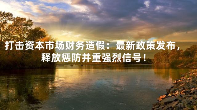 打击资本市场财务造假：最新政策发布，释放惩防并重强烈信号！