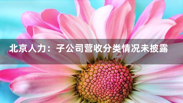 北京人力：子公司营收分类情况未披露