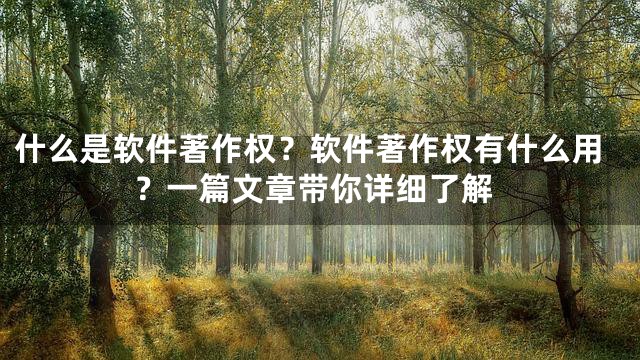 什么是软件著作权？软件著作权有什么用？一篇文章带你详细了解