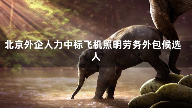北京外企人力中标飞机照明劳务外包候选人