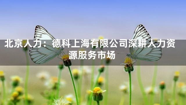 北京人力：德科上海有限公司深耕人力资源服务市场