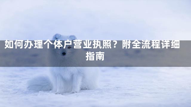 如何办理个体户营业执照？附全流程详细指南