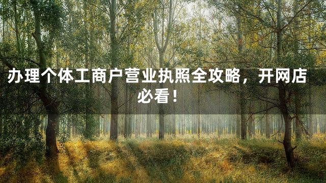 办理个体工商户营业执照全攻略，开网店必看！