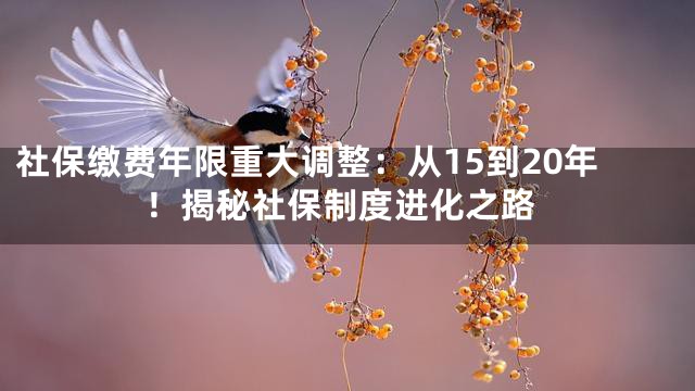 社保缴费年限重大调整：从15到20年！揭秘社保制度进化之路