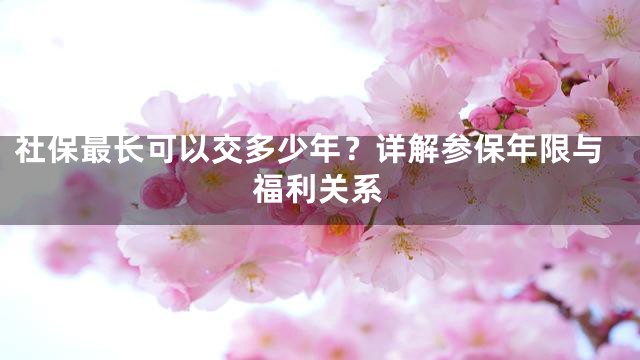 社保最长可以交多少年？详解参保年限与福利关系