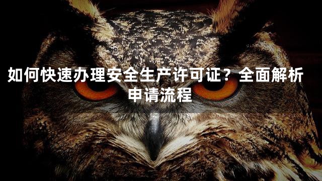 如何快速办理安全生产许可证？全面解析申请流程