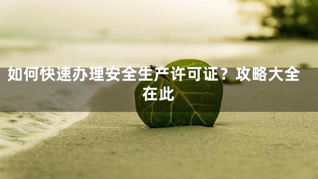 如何快速办理安全生产许可证？攻略大全在此
