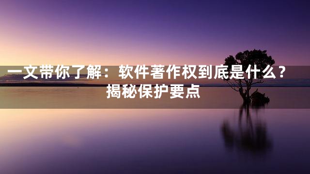 一文带你了解：软件著作权到底是什么？揭秘保护要点