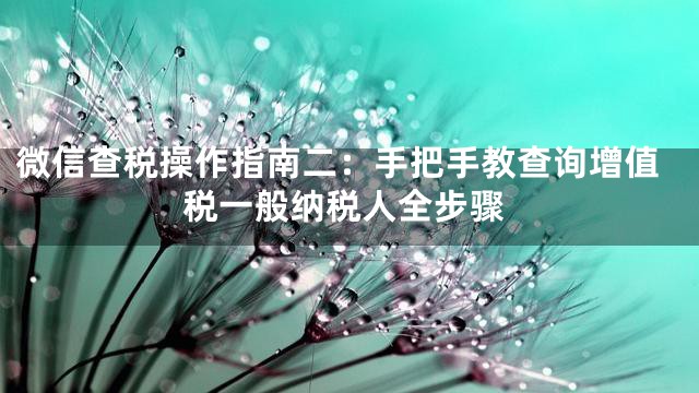 微信查税操作指南二：手把手教查询增值税一般纳税人全步骤