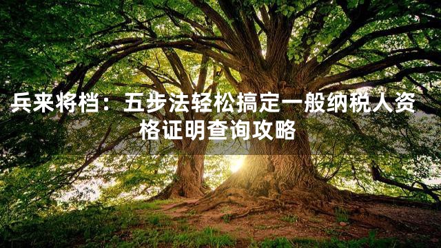 兵来将档：五步法轻松搞定一般纳税人资格证明查询攻略