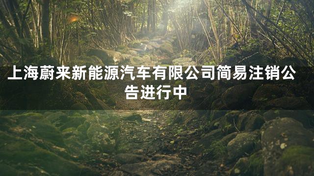 上海蔚来新能源汽车有限公司简易注销公告进行中