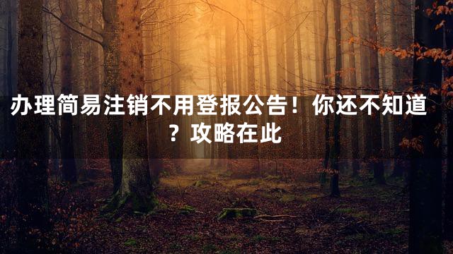 办理简易注销不用登报公告！你还不知道？攻略在此