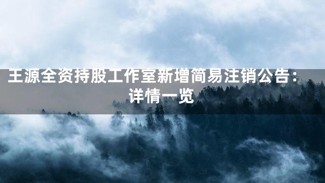 王源全资持股工作室新增简易注销公告：详情一览