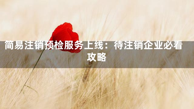 简易注销预检服务上线：待注销企业必看攻略