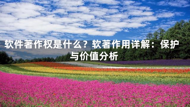 软件著作权是什么？软著作用详解：保护与价值分析
