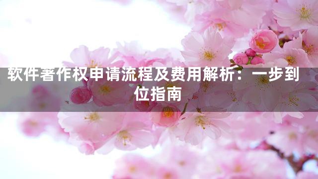 软件著作权申请流程及费用解析：一步到位指南