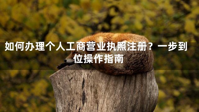 如何办理个人工商营业执照注册？一步到位操作指南