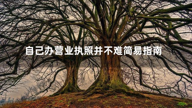自己办营业执照并不难简易指南