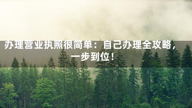 办理营业执照很简单：自己办理全攻略，一步到位！