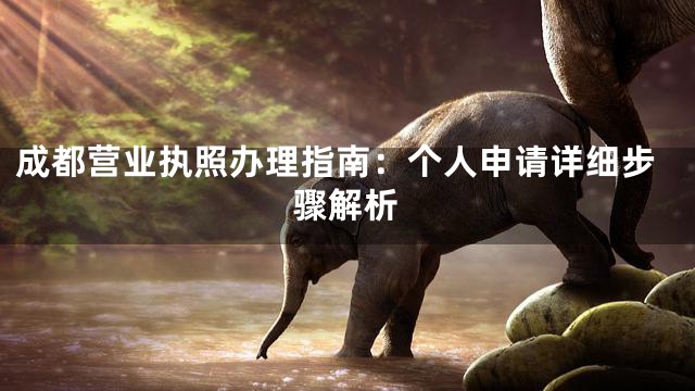 成都营业执照办理指南：个人申请详细步骤解析