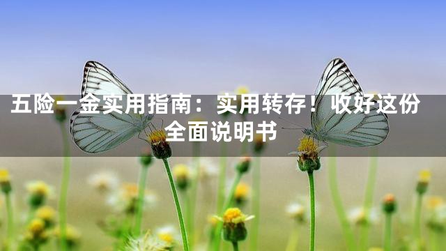 五险一金实用指南：实用转存！收好这份全面说明书