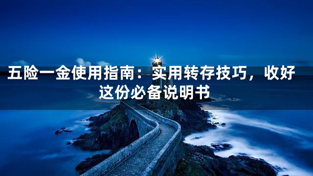 五险一金使用指南：实用转存技巧，收好这份必备说明书