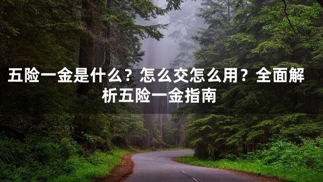 五险一金是什么？怎么交怎么用？全面解析五险一金指南