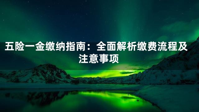 五险一金缴纳指南：全面解析缴费流程及注意事项