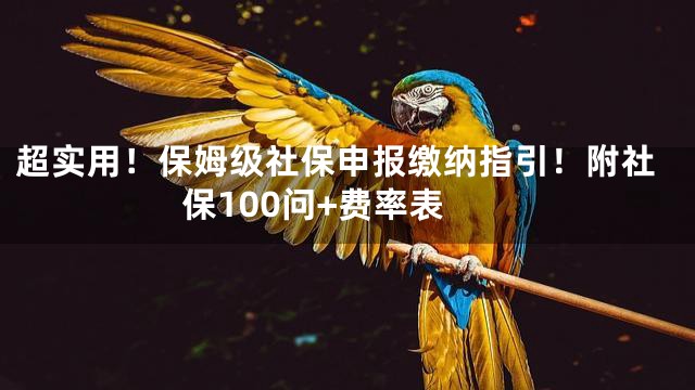 超实用！保姆级社保申报缴纳指引！附社保100问+费率表
