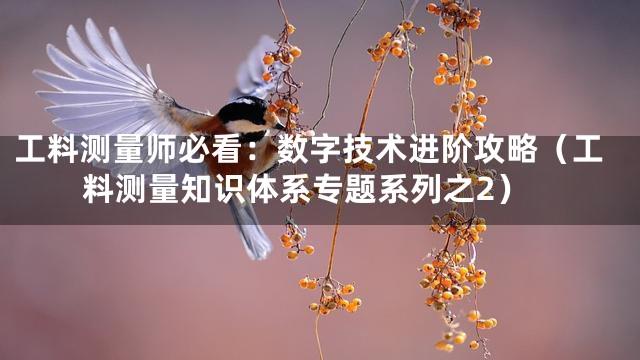 工料测量师必看：数字技术进阶攻略（工料测量知识体系专题系列之2）