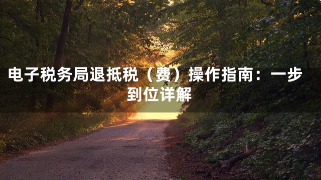 电子税务局退抵税（费）操作指南：一步到位详解