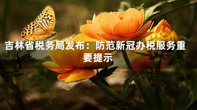吉林省税务局发布：防范新冠办税服务重要提示