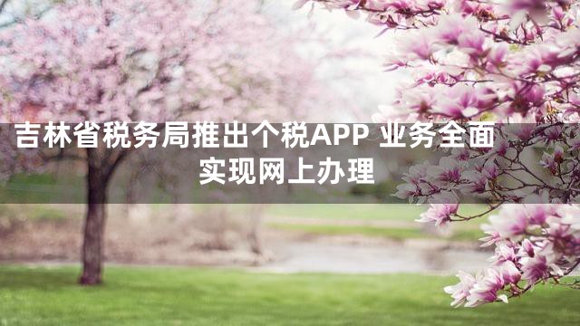 吉林省税务局推出个税APP 业务全面实现网上办理