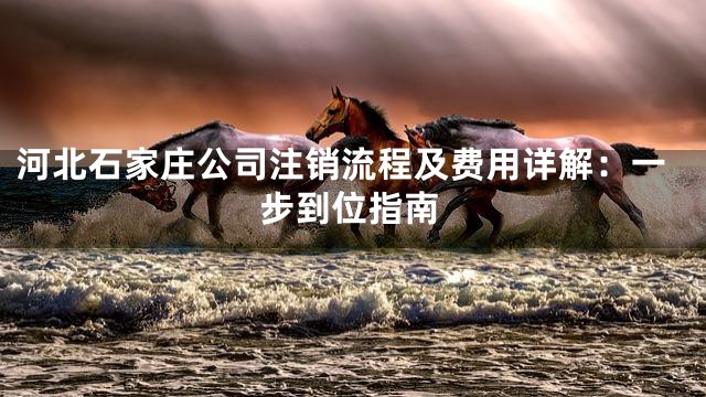 河北石家庄公司注销流程及费用详解：一步到位指南