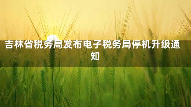 吉林省税务局发布电子税务局停机升级通知