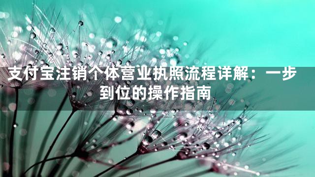 支付宝注销个体营业执照流程详解：一步到位的操作指南