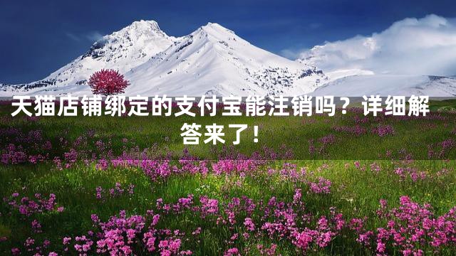 天猫店铺绑定的支付宝能注销吗？详细解答来了！