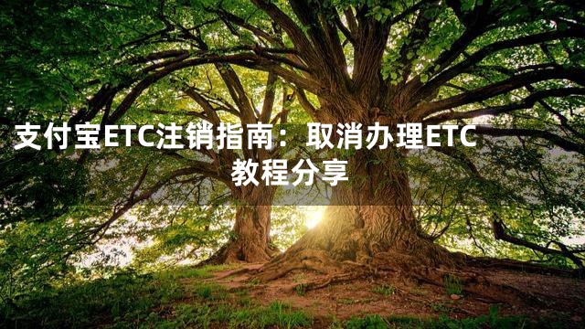 支付宝ETC注销指南：取消办理ETC教程分享