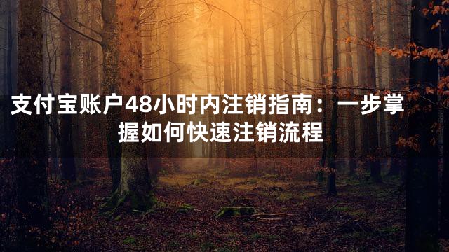支付宝账户48小时内注销指南：一步掌握如何快速注销流程