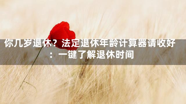 你几岁退休？法定退休年龄计算器请收好：一键了解退休时间
