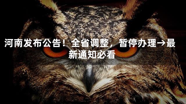 河南发布公告！全省调整，暂停办理→最新通知必看