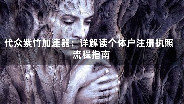 代众紫竹加速器：详解读个体户注册执照流程指南