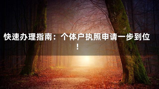快速办理指南：个体户执照申请一步到位！