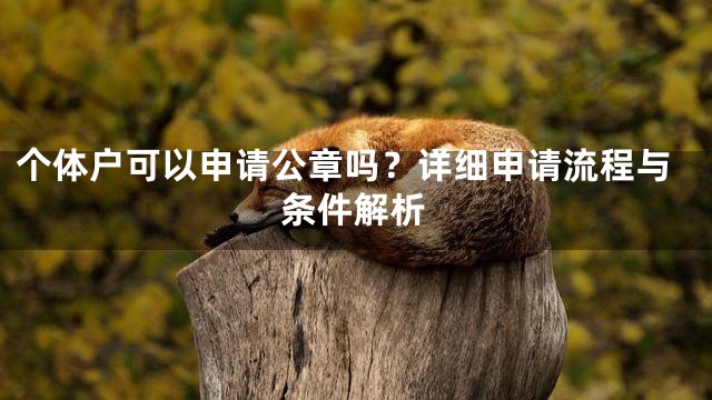 个体户可以申请公章吗？详细申请流程与条件解析