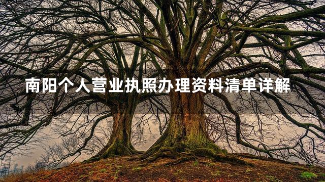 南阳个人营业执照办理资料清单详解