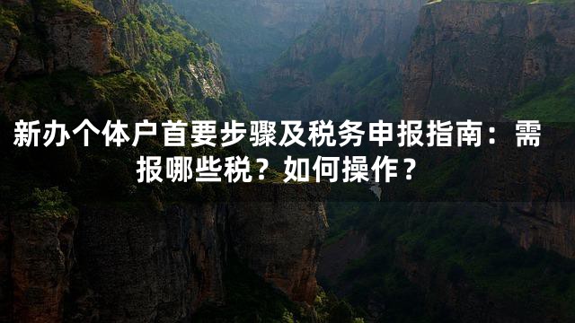 新办个体户首要步骤及税务申报指南：需报哪些税？如何操作？