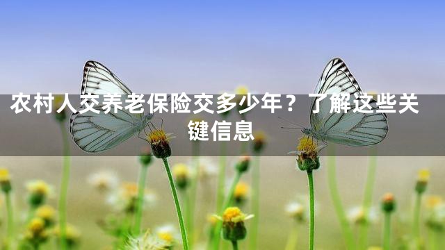 农村人交养老保险交多少年？了解这些关键信息